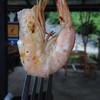 กุ้งเผา ตัวไม่โตเท่าไหร่ แต่สดดีครับ
