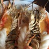 กุ้งแม่น้ำเผา