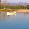 พายเรือชมวิว