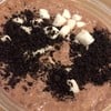 Chocolate Castel