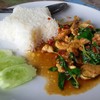 ข้าวกะเพราไก่