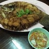 ปลากระทอดน้ำปลา