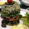 Salmon Burger