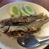 ปลากระบอกทอด
