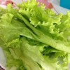 ผักสดๆฟรี