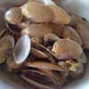 ผัดหอยลาย