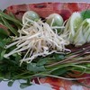 ผักสดฟรี ทางร้านเตรียมใส่ตะกร้ามาให้เรียบร้อย