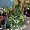 บรรยากาศร้าน