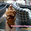 ลองเอามา mixed กันทั้ง 2 รส โคนกรอบดีเคี้ยวไม่เหลือ