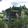 ร้านเล็กๆกะทัดรัดมาก หน้าร้านมีป้ายกาแฟสด