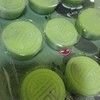 บัวหิมะไส้งาดำ