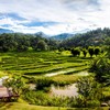 Anna Farm & Eatery