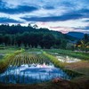 Anna Farm & Eatery