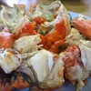 ปูไข่