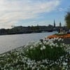 Zurich Lake