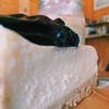 Blueberry Cheesecake