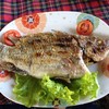 ปลานิลเผา