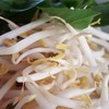 ผักสด