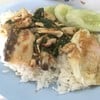 กะเพราปลาราดข้าวไข่ดาว