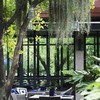 99 Rest Backyard