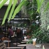 Iwane Goes Nature อโศก สุขุมวิท 23