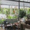 Iwane Goes Nature อโศก สุขุมวิท 23