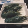 กุ้งแม่น้ำ