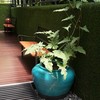 บริเวณทางเดินหน้าห้องน้ำยังสบายตา