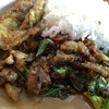 ข้าวกระเพราเป็ด ไข่เจียว