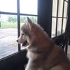 เพลินจิตรอเพื่อนๆอยู่นะคับ