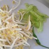 ผักบริการฟรี