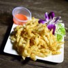 sotong sentosa