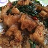 ข้าวกระเพราะหมูสามชั้น 40฿