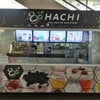 Hachi BTS สุรศักดิ์