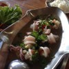 ปลาหมึก ตัวจิ๋ว