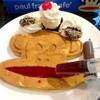 Paul Frank Signature Waffle