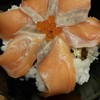 salmon don