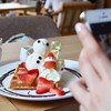 Christmas Waffle