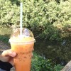 ฟิน