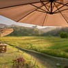 Anna Farm & Eatery