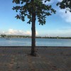 บรรยากาศดีมาก