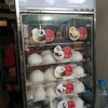 Hongkong Noodle เทเวศร์