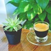 Arabica 100% 