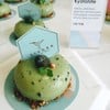 For green tea lover