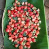 สตรอเบอรี่สดจำหน่ายที่รีสอร์ทบ้านขวัญเคียงดาว
