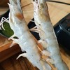 กุ้งสด