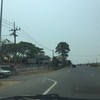ไดโนเสาร์ๆ
