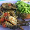 ปูไข่ดอง ไม่รู้จะพูดอะไรเลย ฟิน~
