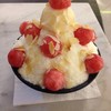 Watermelon snow flake