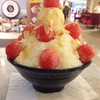 Watermelon snow flake